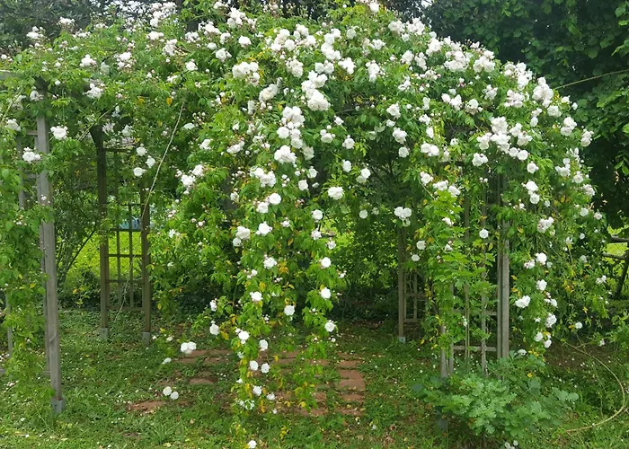 La Camille Bed & Breakfast La Creche